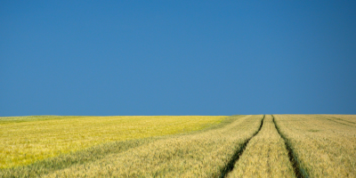 Hintergrundbilder