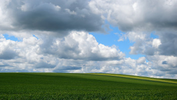 Cloudy Fields