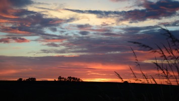 Early Morning